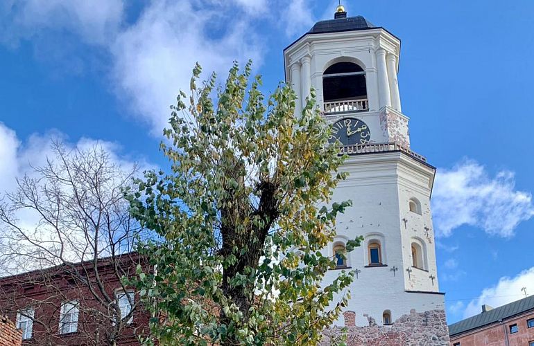 Автобусная экскурсия в Выборг и Сваргас «Путешествие в город викингов», 10+