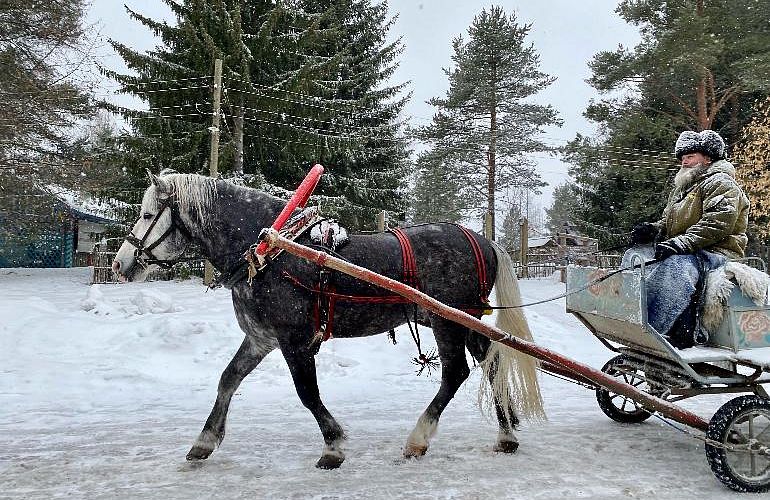 Автобусная экскурсия в деревню XIX века «Мандроги. Живые традиции», 14+