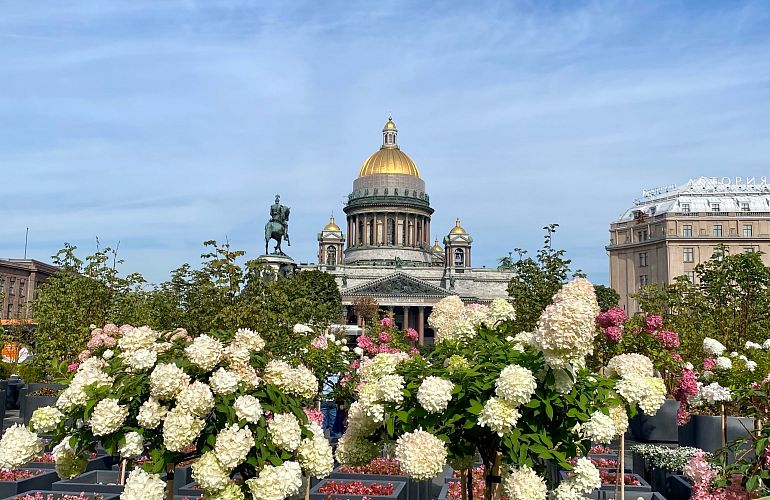 Автобусная обзорная экскурсия «Николай I – жандарм на троне или преобразователь России?», 14+